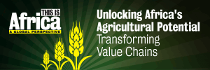 Transforming Value Chains