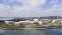 New business park at Cork's Little Island goes to new heights for business recovery and logistics demand