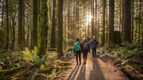 Multi-Ethnic Family Walking Along Sunlit Forest Trail, Father and Daughters