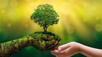 environment Earth Day In the hands of trees growing seedlings. Bokeh green Background Female hand holding tree on nature field g