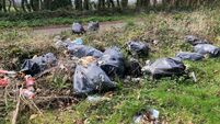 Additional litter funding allocated to ‘clean up our act’ 