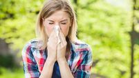 Natural health: Natural immune support for hay fever 