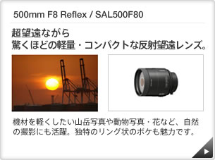 500mm F8 Reflex / SAL500F80 b ]ȂAقǂ̌yʁERpNgȔ˖]YB b @ނyRxʐ^⓮ʐ^EԂȂǁAR̎BeɂBƓ̃Õ{P͂łB